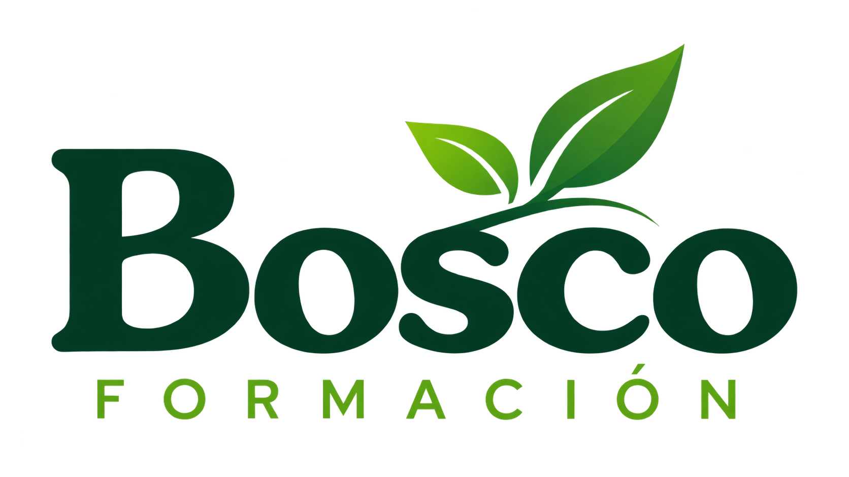 Bosco Formación