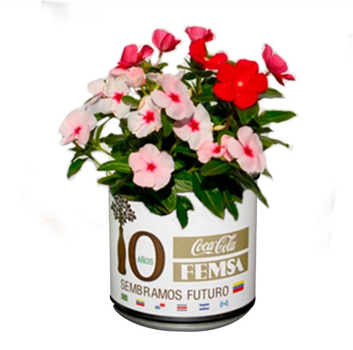 Regalos Corporativos Ecologicos