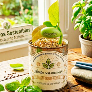 Regalos Ecologicos