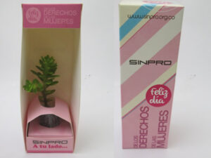 Suculenta en caja personalizada