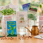 Tarjeta plantable de papel semilla germinando en agua, ideal como regalo corporativo ecológico personalizado.
