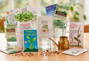 Tarjeta plantable de papel semilla germinando en agua, ideal como regalo corporativo ecológico personalizado.