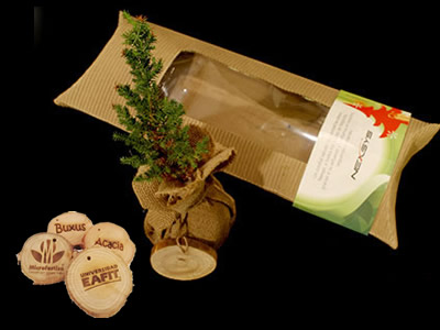  Pino navideño en saco de yute natural para regalos de navidad corporativos.