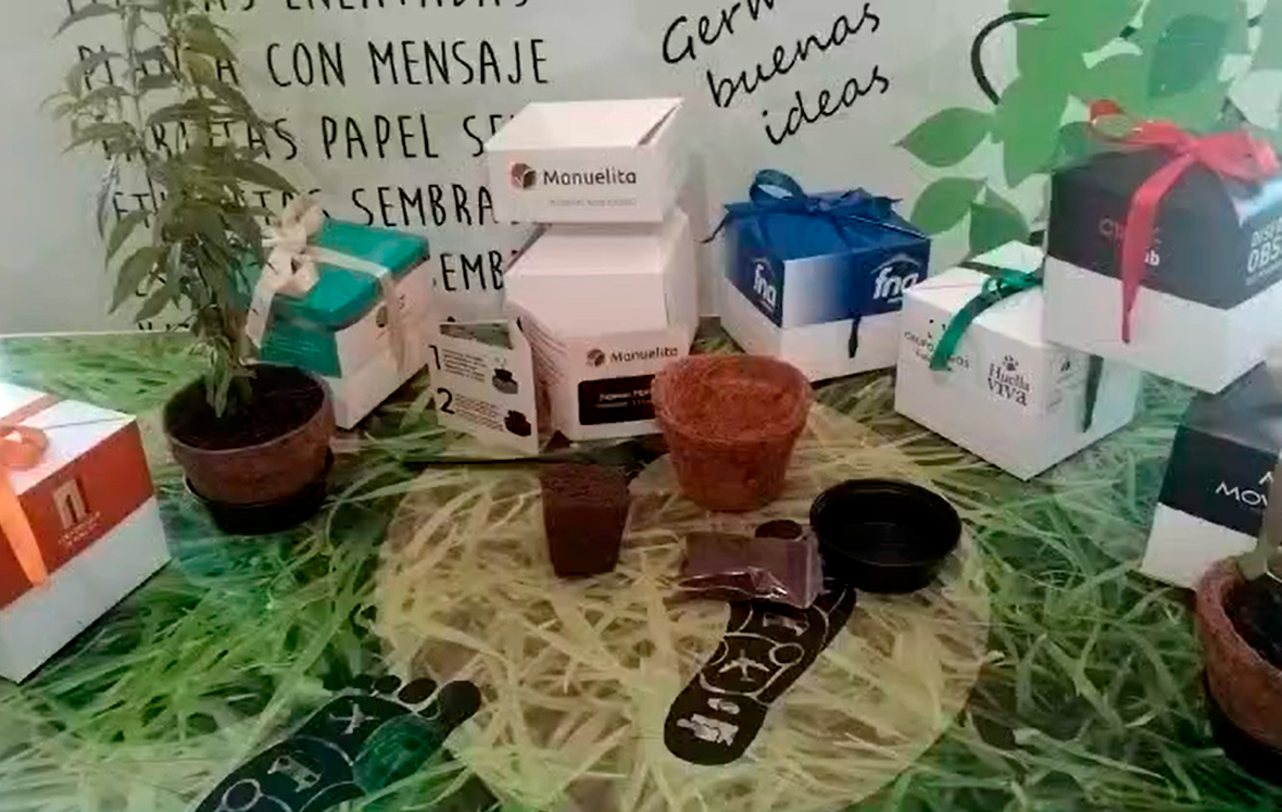 Kit de siembra eco