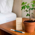 Jabón para hoteles con empaque de papel semilla biodegradable.