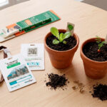 Kit de bienvenida para eventos corporativos con escarapela y bolígrafo ecológico germinable.