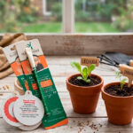 Kit ecológico para congresos con escarapela personalizada y bolígrafo germinable.