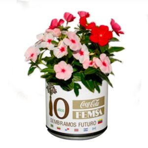 Plantas Enlatadas en Ecolata (Lata Ecológica)