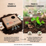 Caja germinable personalizada con semillas para regalos corporativos ecológicos y campañas de sostenibilidad.