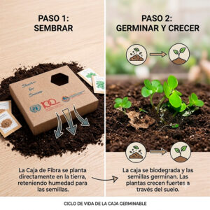 Caja germinable personalizada con semillas para regalos corporativos ecológicos y campañas de sostenibilidad.