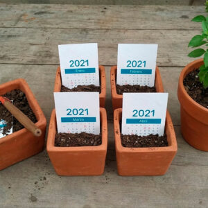 Calendario germinable personalizado elaborado en papel semilla para regalos corporativos ecológicos.
