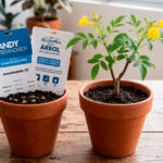 Escarapela germinable personalizada elaborada con papel semilla para eventos, congresos y regalos corporativos ecológicos.