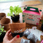 Regalos corporativos ecológicos personalizados para empresas con productos sostenibles Eco Regalos Colombia