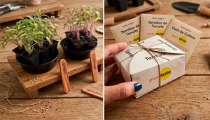 Kit de germinación con semillas para campañas de sostenibilidad y educación ambiental.
