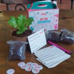 Kit de siembra para huertas urbanas con semillas, sustrato y accesorios para cultivar alimentos en casa.