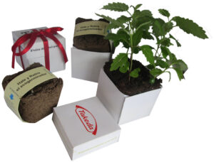 Kit de siembra corporativo para eventos, campañas ambientales y programas de bienestar.