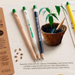 Lápiz germinable con semillas, un regalo corporativo ecológico personalizado para empresas.