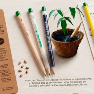 Lápiz germinable con semillas, un regalo corporativo ecológico personalizado para empresas.
