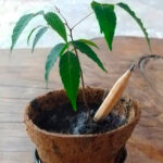 Lápiz plantable personalizado con semillas para regalos corporativos sostenibles en Colombia.