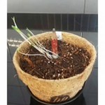 Regalos Corporativos