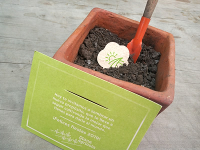 kit-de-siembra-regalo-corporativo-ecologico-eco-regalos