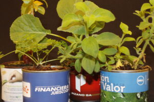 Regalos Corporativos Sostenibles para celebraciones ambientales