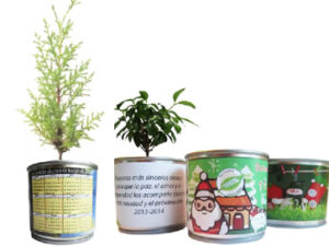 Plantas Enlatadas en ecolata (lata Ecológica) eco regalos ®