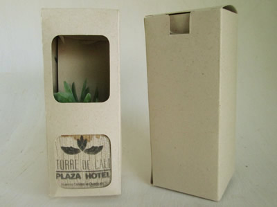 Suculenta en mini matera de madera con caja
