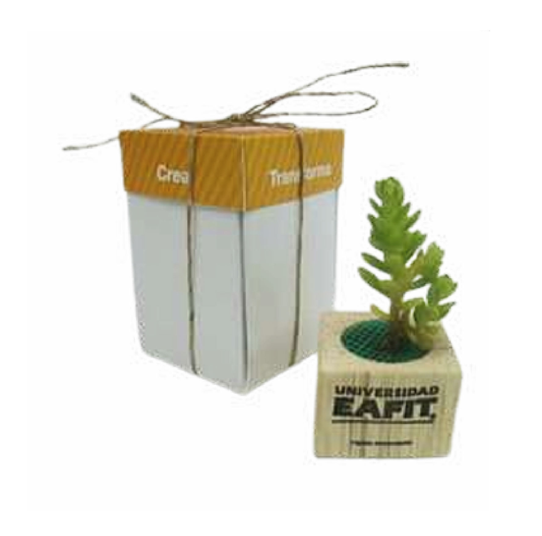 Suculenta en matera de madera con imán