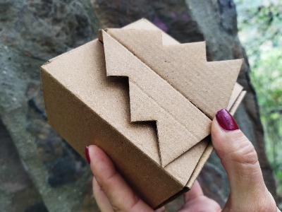 Caja en cartón germinable