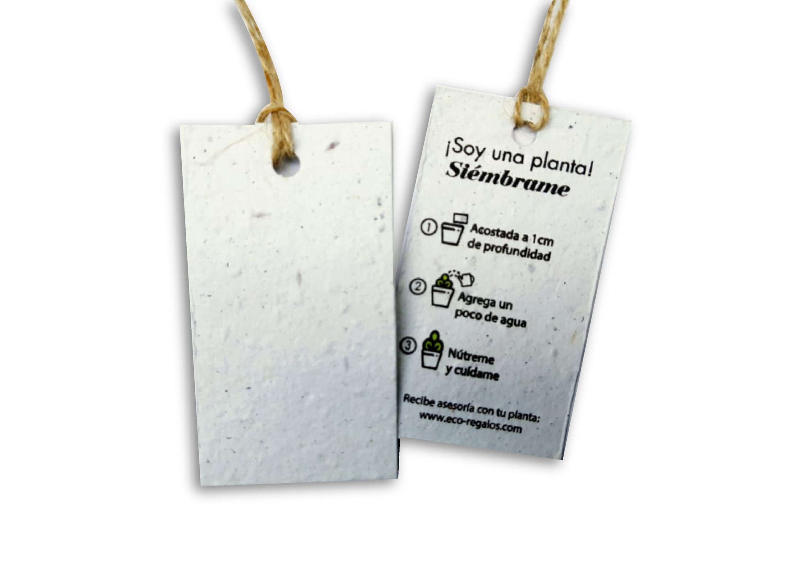 Etiquetas GERMINABLES sin personalizar x 100 unidades