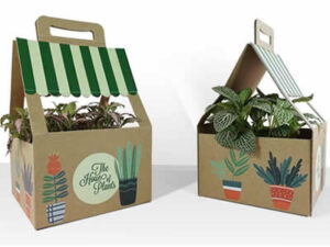 Cajas y bolsas germinables para regalos y productos