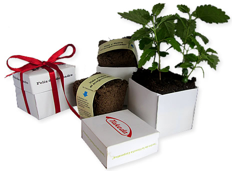 Regalos ecologicos corporativos