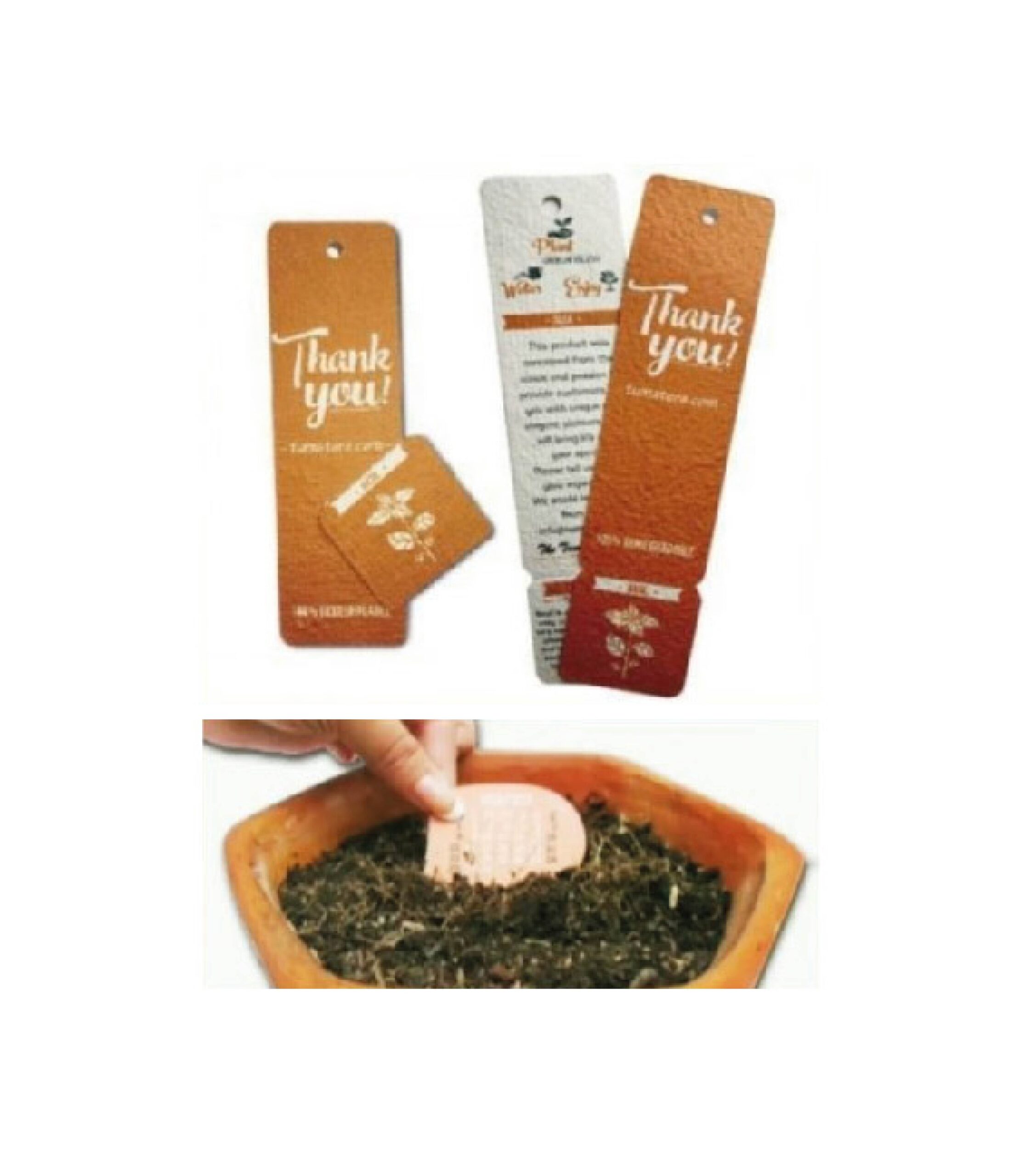 Kit Ecológico Electoral 2026 - Imagen 14