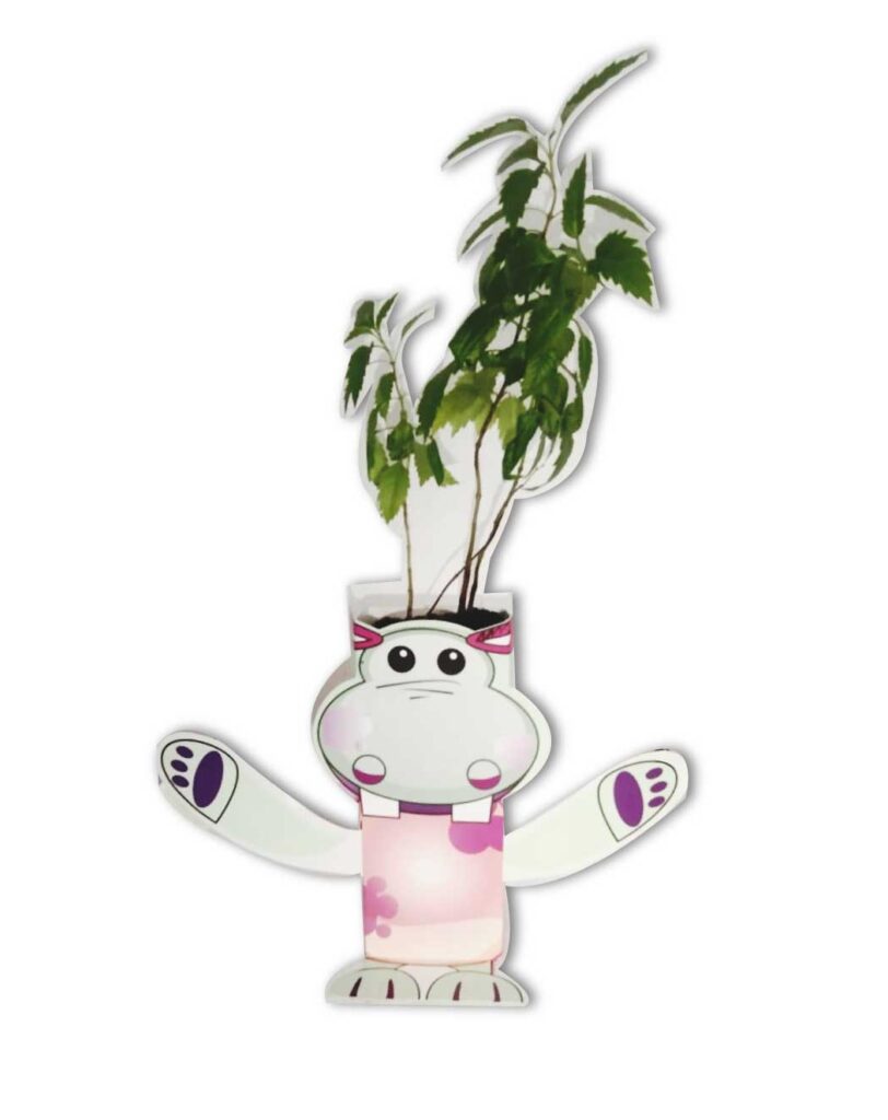 Figura Articulada Cacto Hipopótamo - 12x9 Cm, Colección Brainrot Italian Memes, De Bioplástico
