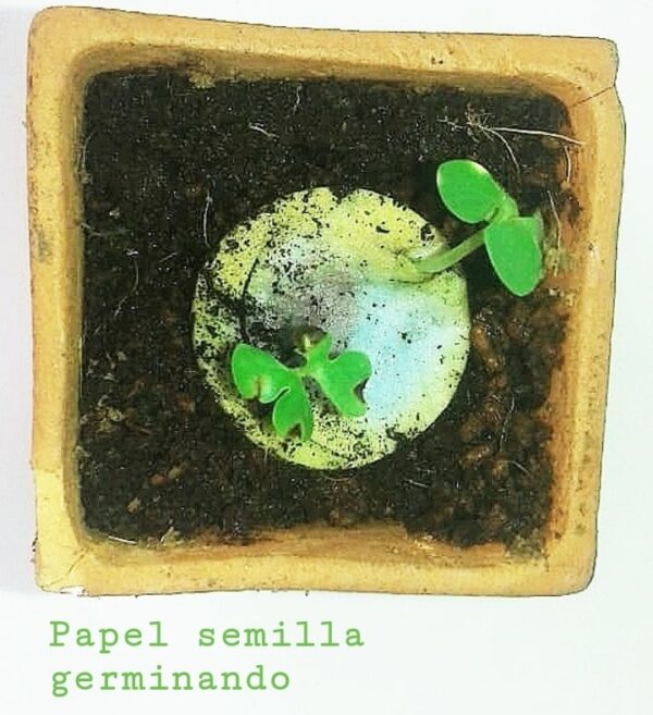 Monedas para Sembrar y Germinar - Imagen 2